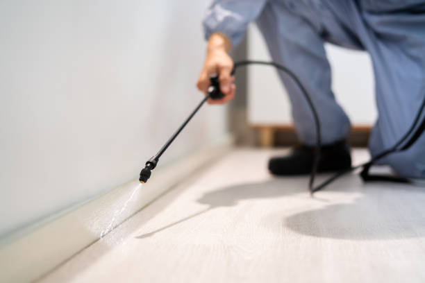 Certified termite inspector examining foundation in Countryside