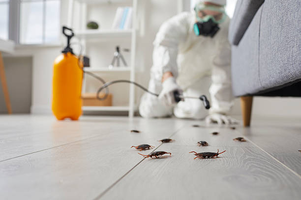 Commercial Rodent Management in Countryside